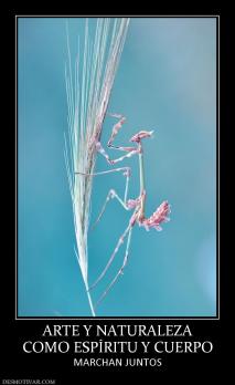 ARTE Y NATURALEZA COMO ESPÍRITU Y CUERPO MARCHAN JUNTOS