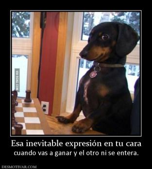 Esa inevitable expresión en tu cara cuando vas a ganar y el otro ni se entera.