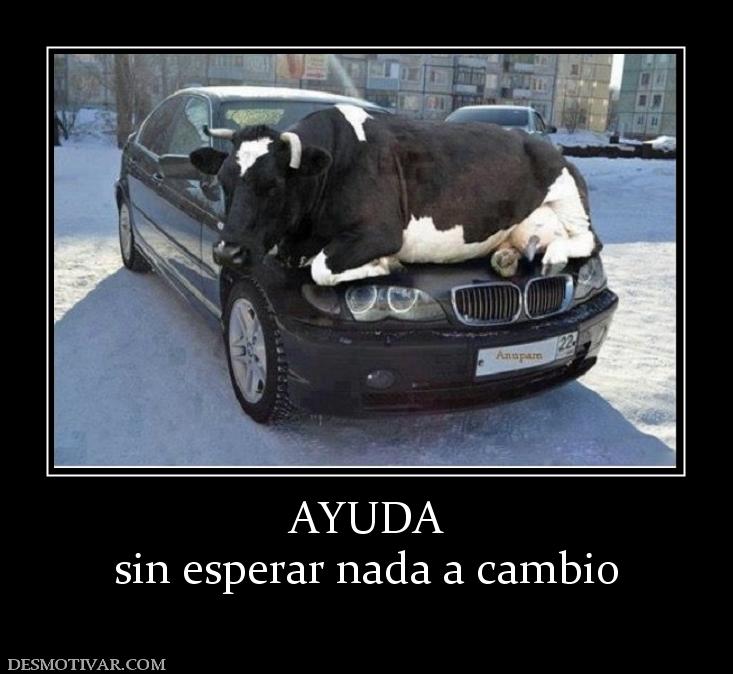 AYUDA sin esperar nada a cambio