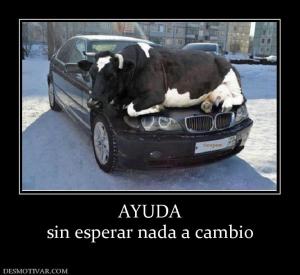 AYUDA sin esperar nada a cambio