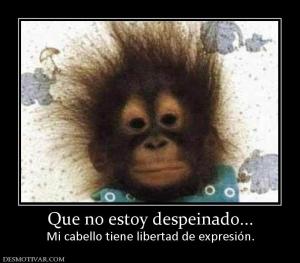 Que no estoy despeinado... Mi cabello tiene libertad de expresión.