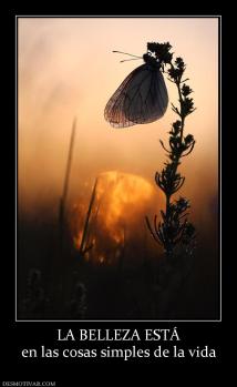 LA BELLEZA ESTÁ en las cosas simples de la vida