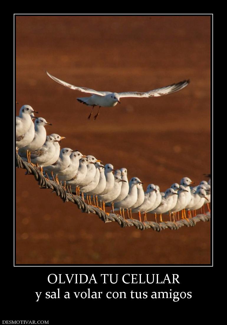 OLVIDA TU CELULAR y sal a volar con tus amigos