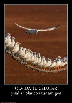 OLVIDA TU CELULAR y sal a volar con tus amigos