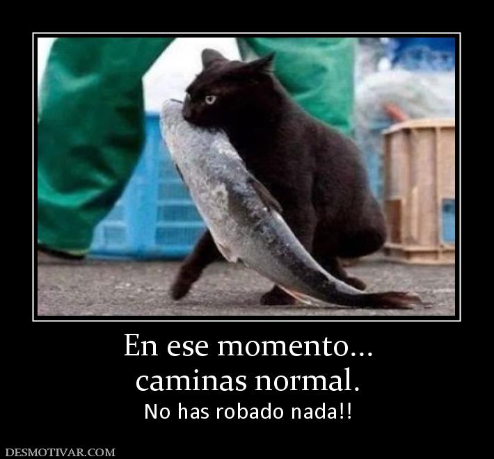 En ese momento... caminas normal. No has robado nada!!