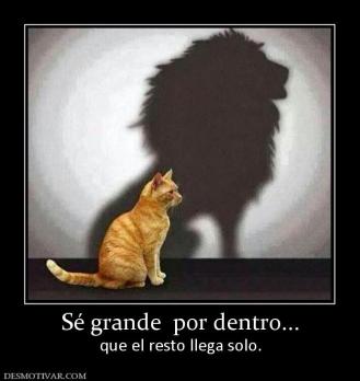 Sé grande  por dentro... que el resto llega solo.