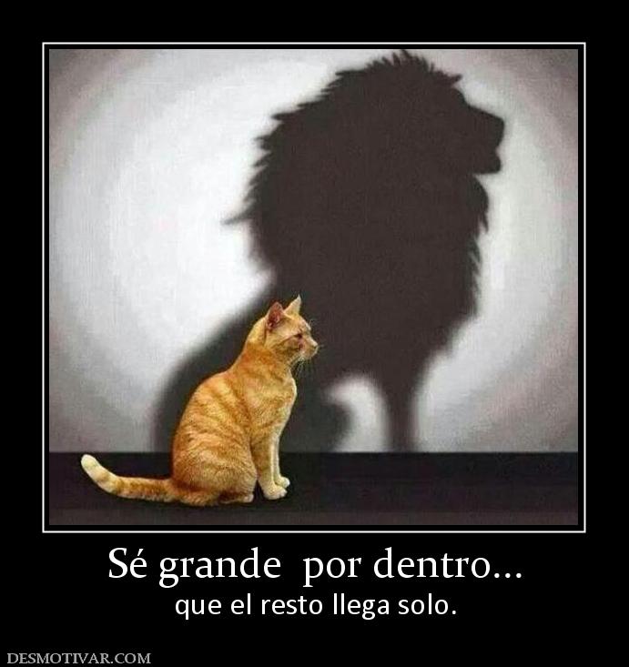 Sé grande  por dentro... que el resto llega solo.