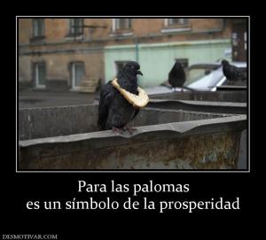 Para las palomas es un símbolo de la prosperidad