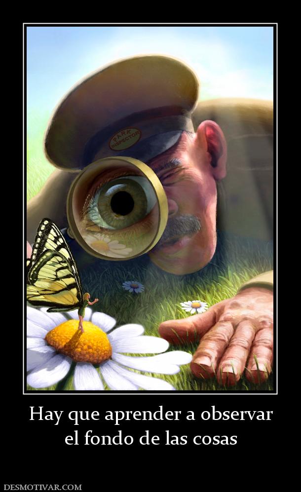 Hay que aprender a observar el fondo de las cosas