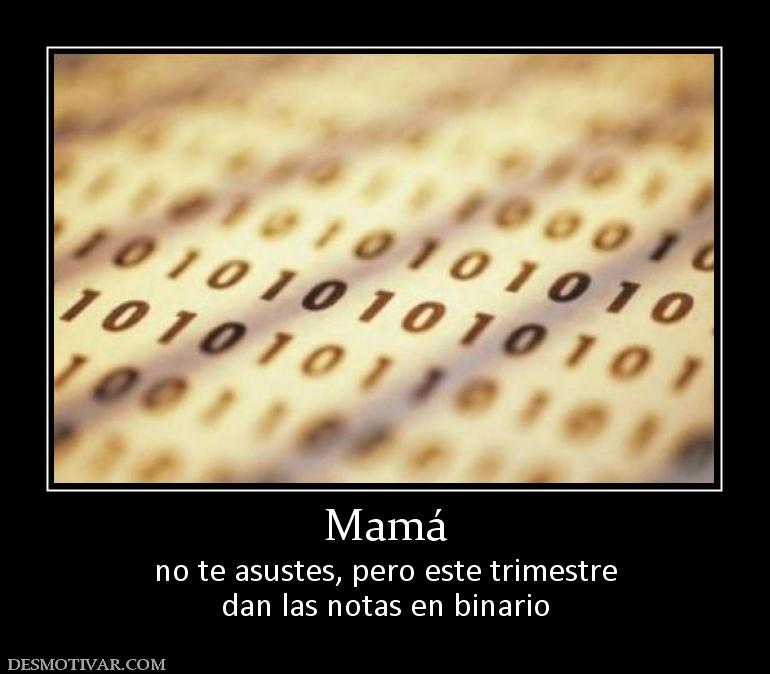 Mamá no te asustes, pero este trimestre dan las notas en binario