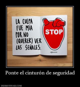 Ponte el cinturón de seguridad