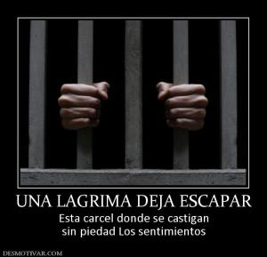UNA LAGRIMA DEJA ESCAPAR Esta carcel donde se castigan sin piedad Los sentimientos