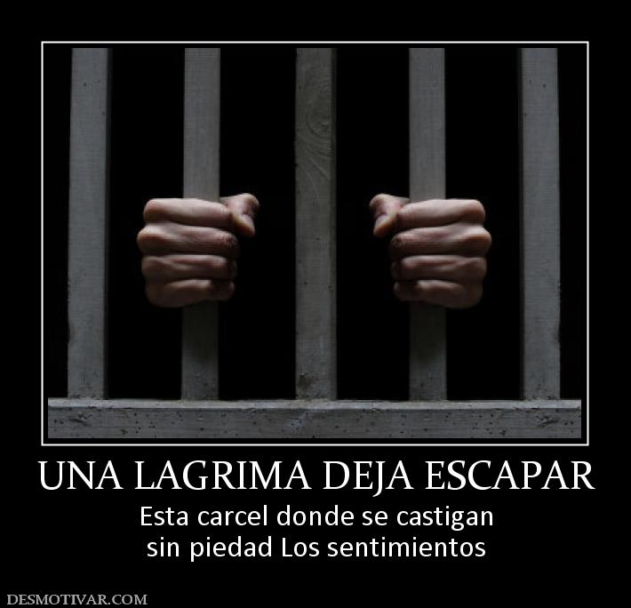 UNA LAGRIMA DEJA ESCAPAR Esta carcel donde se castigan sin piedad Los sentimientos
