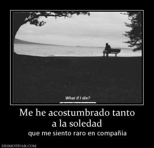 Me he acostumbrado tanto a la soledad que me siento raro en compañía