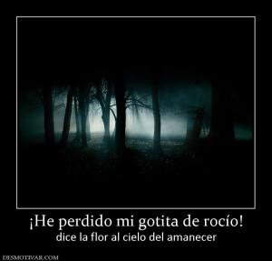 ¡He perdido mi gotita de rocío! dice la flor al cielo del amanecer