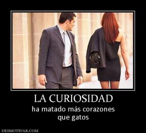 LA CURIOSIDAD ha matado más corazones que gatos