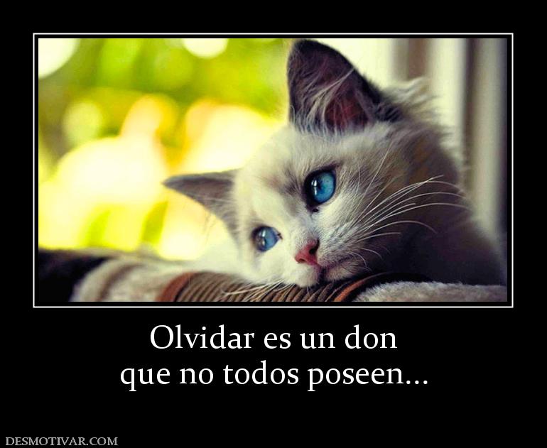 Olvidar es un don que no todos poseen...