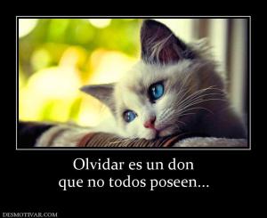 Olvidar es un don que no todos poseen...