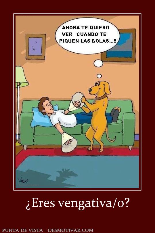 ¿Eres vengativa/o?