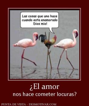 ¿El amor nos hace cometer locuras?