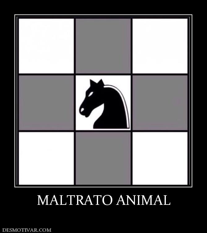 MALTRATO ANIMAL