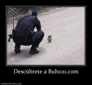 Descúbrete a Buho21.com