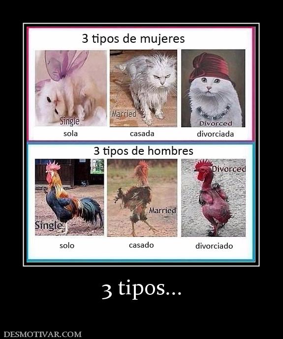 3 tipos...