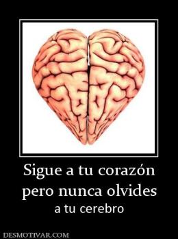 Sigue a tu corazón pero nunca olvides  a tu cerebro