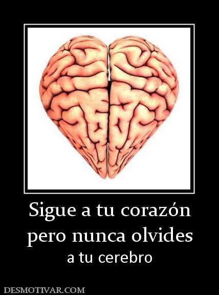 Sigue a tu corazón pero nunca olvides  a tu cerebro