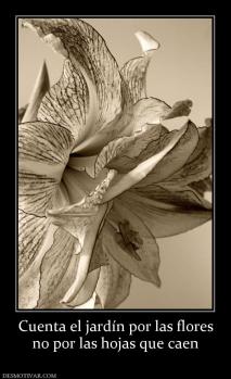 Cuenta el jardín por las flores no por las hojas que caen
