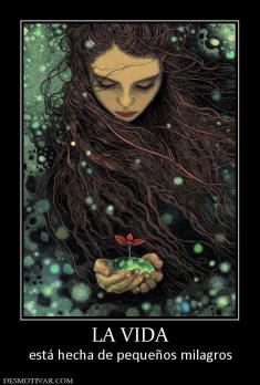 LA VIDA está hecha de pequeños milagros