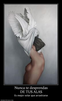 Nunca te desprendas DE TUS ALAS Es mejor volar que arrastrarse