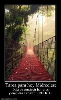 Tarea para hoy Miércoles: Deja de construir barreras y empieza a construir PUENTES