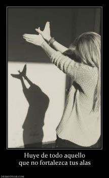 Huye de todo aquello que no fortalezca tus alas