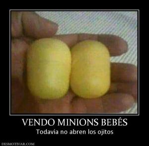 VENDO MINIONS BEBÉS Todavía no abren los ojitos