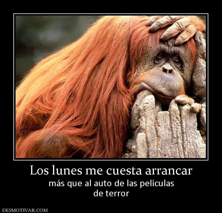 Los lunes me cuesta arrancar más que al auto de las películas de terror