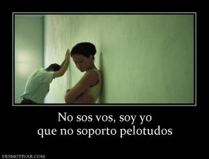 No sos vos, soy yo que no soporto pelotudos
