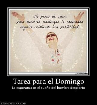 Tarea para el Domingo La esperanza es el sueño del hombre despierto