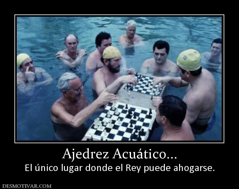Ajedrez Acuático... El único lugar donde el Rey puede ahogarse.