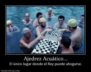 Ajedrez Acuático... El único lugar donde el Rey puede ahogarse.