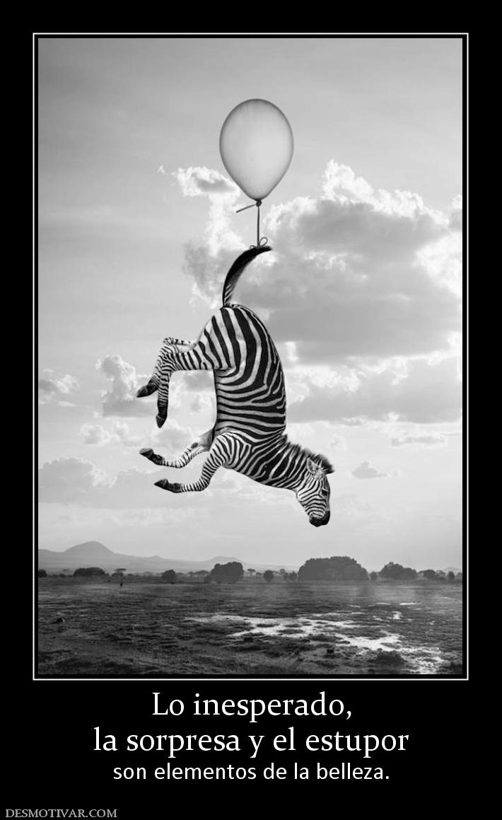 Lo inesperado, la sorpresa y el estupor son elementos de la belleza.
