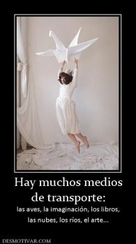 Hay muchos medios de transporte: las aves, la imaginación, los libros, las nubes, los ríos, el arte...