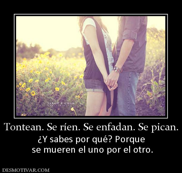 Tontean. Se ríen. Se enfadan. Se pican ¿Y sabes por qué? Porque  se mueren el uno por el otro.