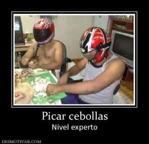 Picar cebollas Nivel experto