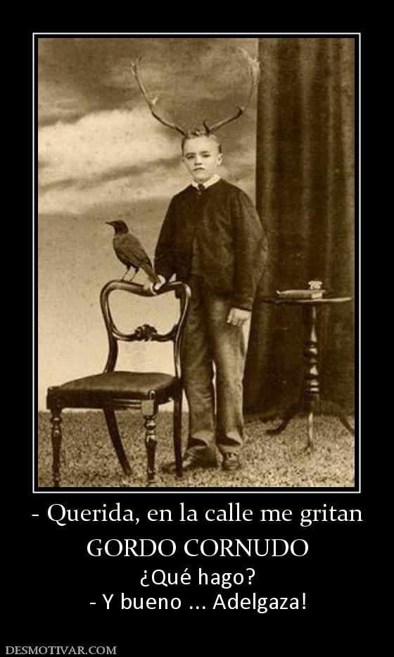 - Querida, en la calle me gritan GORDO CORNUDO ¿Qué hago? - Y bueno ... Adelgaza!