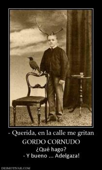 - Querida, en la calle me gritan GORDO CORNUDO ¿Qué hago? - Y bueno ... Adelgaza!