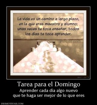 Tarea para el Domingo Aprender cada día algo nuevo que te haga ser mejor de lo que eres