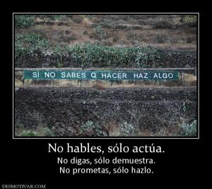 No hables, sólo actúa. No digas, sólo demuestra. No prometas, sólo hazlo.