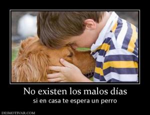 No existen los malos días si en casa te espera un perro