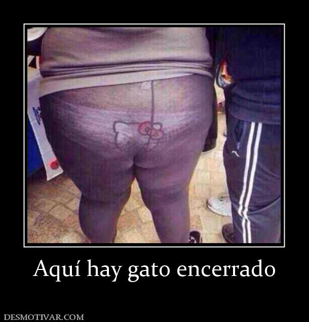 Aquí hay gato encerrado